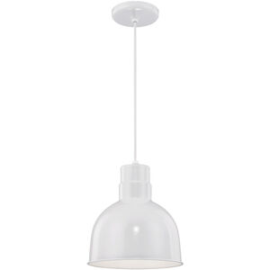 R Series 1 Light 10.00 inch Pendant